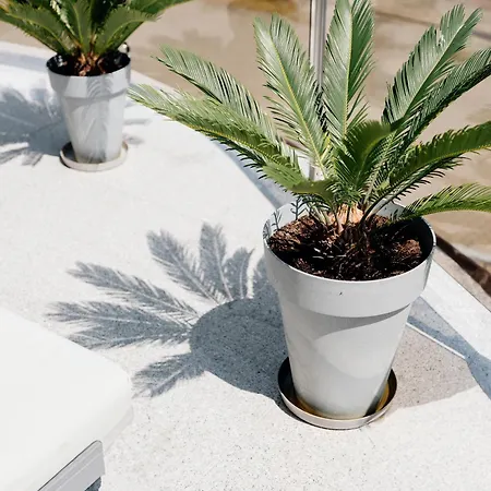 Habitación en casa particular Ada & *