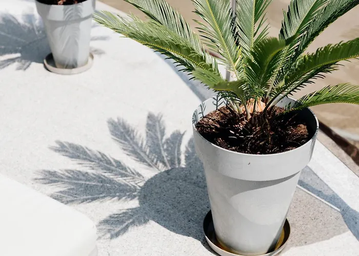 Rum i privatbostad Ada & *